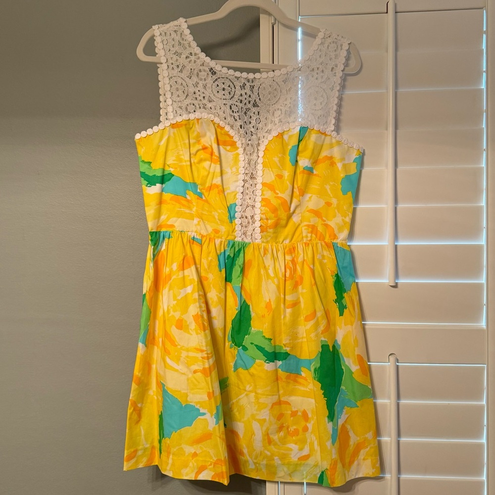 NWT Lilly Pulitzer Raegan Dress